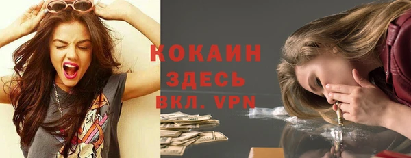шишки Абинск