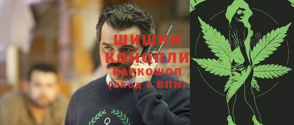 шишки Абинск