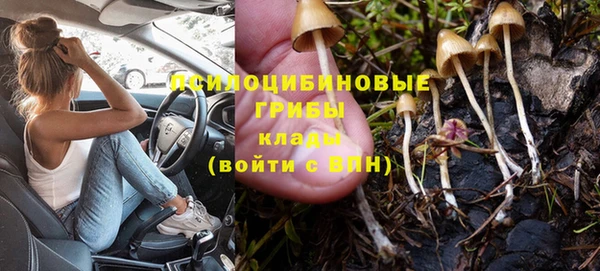 прущая мука Абдулино