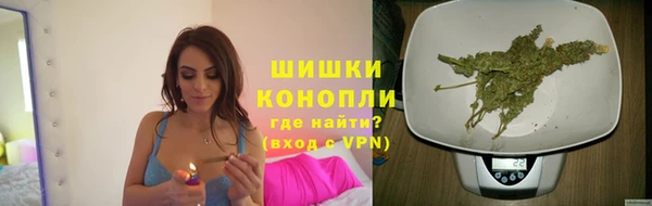 шишки Абинск