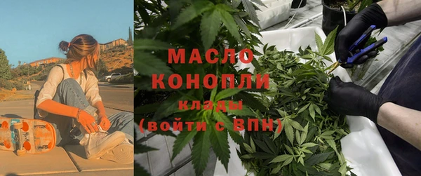 шишки Абинск