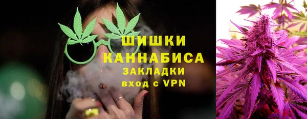 шишки Абинск