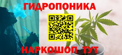 ГАЛЛЮЦИНОГЕННЫЕ ГРИБЫ Пугачёв