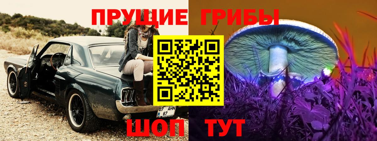 Псилоцибиновые грибы Psilocybine cubensis Фрязино